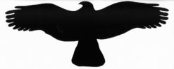 Symbol dravec 1000x300mm - samolepka s výrezom do tvaru dravca