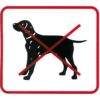 Zákaz vstupu so psom 110x90mm - samolepka Samolepiace bezpečnostné tabuľka formátu 100x90 mm